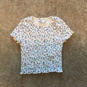 xs blue and white hollister